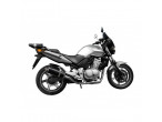 Delkevic Slip-on Udstødning Carbon CBF 500 (04-08) til Honda