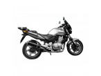Delkevic Slip-on Udstødning Carbon CBF 500 (04-08) til Honda