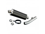 Delkevic Slip-on Udstødning Carbon CBR600F (91-98) til Honda
