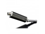 DELKEVIC SLIP ON UDSTØDNING Carbon FZS 1000 (00-05) til Yamaha FZ1