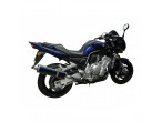DELKEVIC SLIP ON UDSTØDNING Carbon FZS 1000 (00-05) til Yamaha FZ1