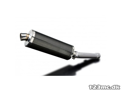 DELKEVIC SLIP ON UDSTØDNING Carbon FZS 1000 (00-05)