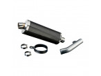 DELKEVIC SLIP ON UDSTØDNING Carbon FZS 600 (98-03) til Yamaha FZ6