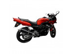 DELKEVIC SLIP ON UDSTØDNING Carbon FZS 600 (98-03) til Yamaha FZ6