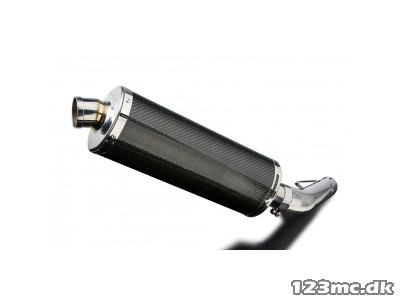 DELKEVIC SLIP ON UDSTØDNING Carbon FZS 600 (98-03)