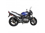 Delkevic Slip-on Udstødning Carbon GS 500 (89-09) til Suzuki