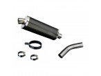 Delkevic Slip-on Udstødning Carbon GSR 750 (11-16) til Suzuki GSR 600