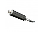 DELKEVIC SLIP ON UDSTØDNING Carbon TDM 850 (91-01) til Yamaha