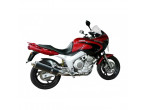 DELKEVIC SLIP ON UDSTØDNING Carbon TDM 850 (91-01) til Yamaha