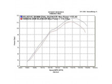 Delkevic Slip-On Udstødning Carbon V-Max 1200