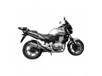 Delkevic Slip-on Udstødning rustfri CBF 500 (04-08) til Honda
