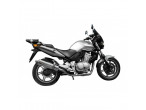 Delkevic Slip-on Udstødning rustfri CBF 500 (04-08) til Honda
