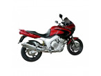 DELKEVIC Slip on UDSTØDNING RUSTFRI TDM 850 (91-01) til Yamaha