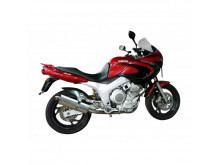 DELKEVIC Slip on UDSTØDNING RUSTFRI TDM 850 (91-01)