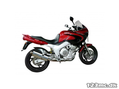 DELKEVIC Slip on UDSTØDNING RUSTFRI TDM 850 (91-01)