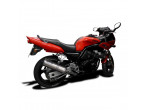 DELKEVIC SLIP ON UDSTØDNING Rustfri X-oval FZS 600 (98-03) til Yamaha FZ6