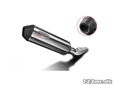 DELKEVIC SLIP ON UDSTØDNING Rustfri X-oval FZS 600 (98-03)