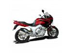 DELKEVIC SLIP ON UDSTØDNING Titanium TDM 850 (91-01) til Yamaha