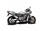 Delkevic Slip-on Udstødning Tri CB 600 F (98-02) til Honda CB 600 F Hornet