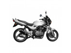 Delkevic Slipon Carbon Udstødning ER-5 (96-07) til Kawasaki