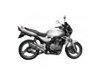 Delkevic Slipon Carbon Udstødning ER-5 (96-07) til Kawasaki