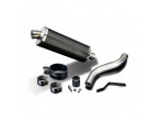 Delkevic Slipon Udstødning Carbon Speed Triple 955 høj (02-04) til Triumph