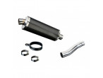 Delkevic Slipon Udstødning Carbon Speed Triple 955 lav (02-04) til Triumph
