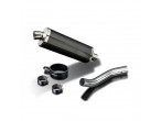 Delkevic Slipon Udstødning Carbon Tiger 900 (99-01) til Triumph