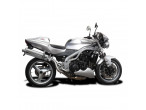 Delkevic Slipon Udstødning Rustfri Speed Triple 955 HØJ (02-04) til Triumph