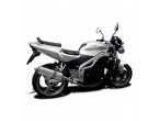 Delkevic Slipon Udstødning Rustfri Speed Triple 955 LAV (02-04) til Triumph