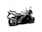 Delkevic Slipon Udstødning Rustfri Speed Triple 955 LAV (02-04) til Triumph