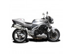Delkevic Slipon Udstødning Titanium Speed Triple 955 HØJ (02-04) til Triumph