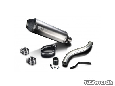 Delkevic Slipon Udstødning Titanium Speed Triple 955 HØJ (02-04)