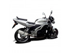 Delkevic Slipon Udstødning Titanium Speed Triple 955 LAV (02-04) til Triumph