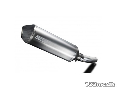 Delkevic Slipon Udstødning Titanium Sprint ST (98-05)