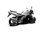 Delkevic Slipon Udstødning Tri Speed Triple 955 LAV (02-04) til Triumph