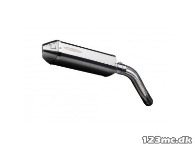 Delkevic Slipon Udstødning Tri Tiger 900 (99-01)