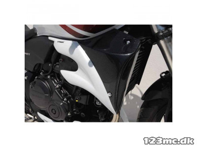 Ermax Air Scoop Carbon CB600 Hornet 2007-10