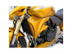 Ermax Air Scoop CB600 Hornet 2007-10 Lakeret til Honda CB 600 F Hornet