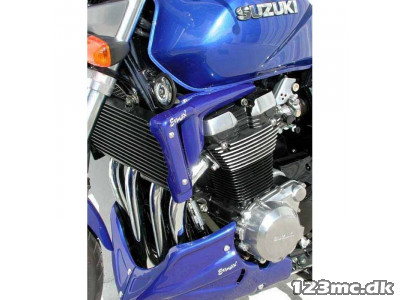 Ermax Air Scoop GSX1400 2001-07 Lakeret