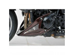 Ermax Belly Pan Z1000 2010-13 Lakeret til Kawasaki Ermax Belly Pan Z1000 2010-13 Lakeret til Kawasaki