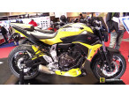Ermax Radiator Sportsline Covers MT-07 2014-17 til Yamaha