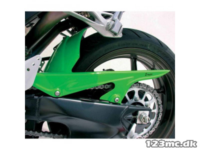 Ermax Rear Hugger ZX10R 2006-07 Lakeret