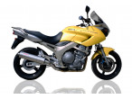 GPR Trioval Slip-on udstødning TDM 900 (02-14) til Yamaha XJR 1300