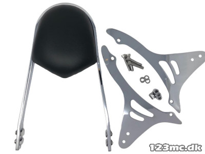 Highway Hawk - Sissybar - XV 1600