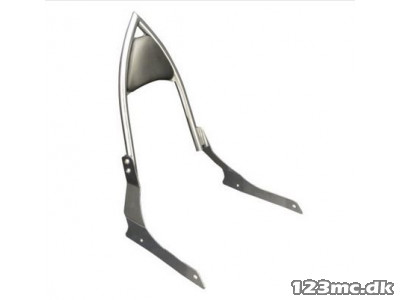 Highway Hawk - Sissybar Arch - VT 1100