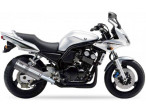 IXIL Hexoval Xtrem Slip-on Udstødning FZS 600 (98-02) til Yamaha FZ6