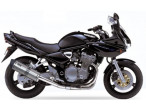 IXIL Hexoval Xtrem Slip-on Udstødning GSF 600 (01-04) til Suzuki GSF 600 Bandit