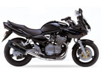 IXIL Hexoval Xtrem Slip-on Udstødning GSF 600 (01-04) til Suzuki GSF 600 Bandit