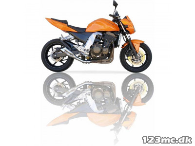 IXIL Hyperlow Slip on 04-06 Z750